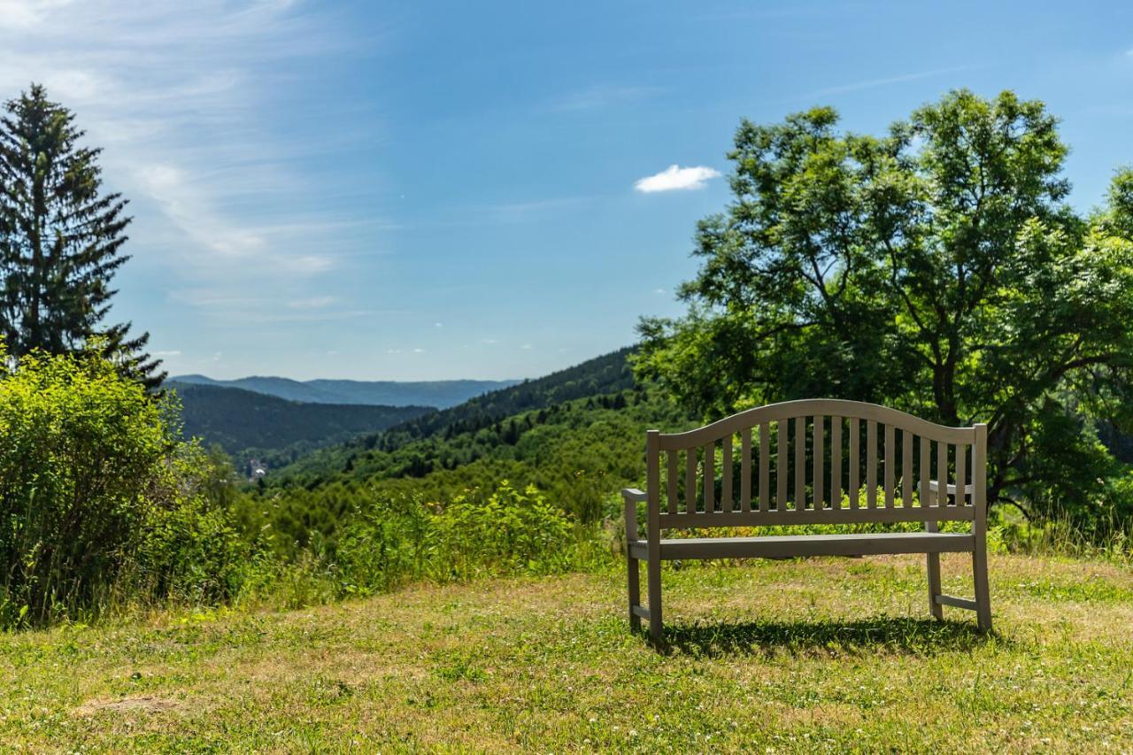 Apartmany Nad Slikovkou Jáchymov Exterior foto